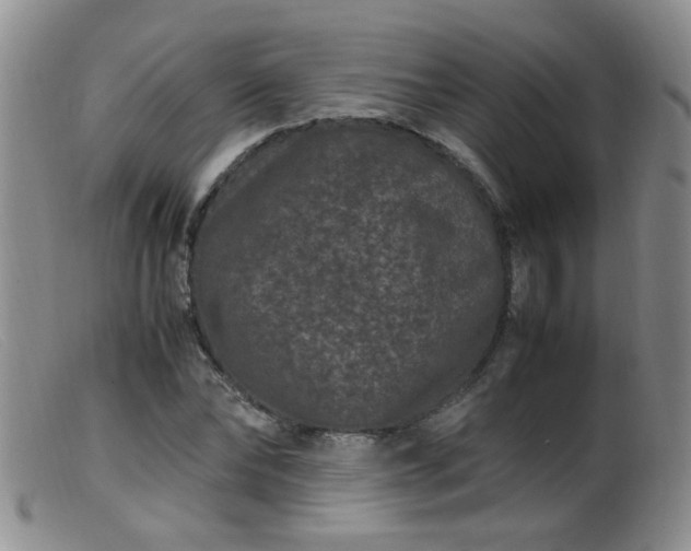 X0000099470878200805161108