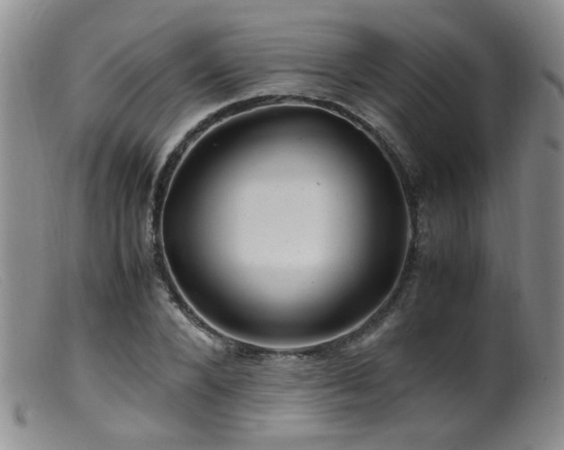 X0000099470880200805161108
