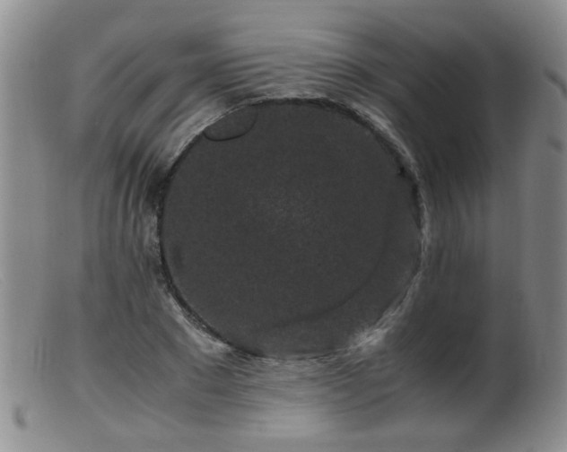 X0000099470881200805161108