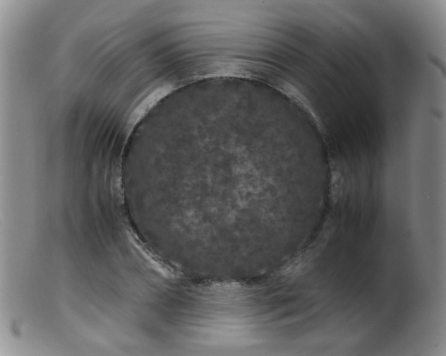 X0000099470882200805161108