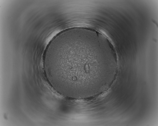 X0000099470883200805161108