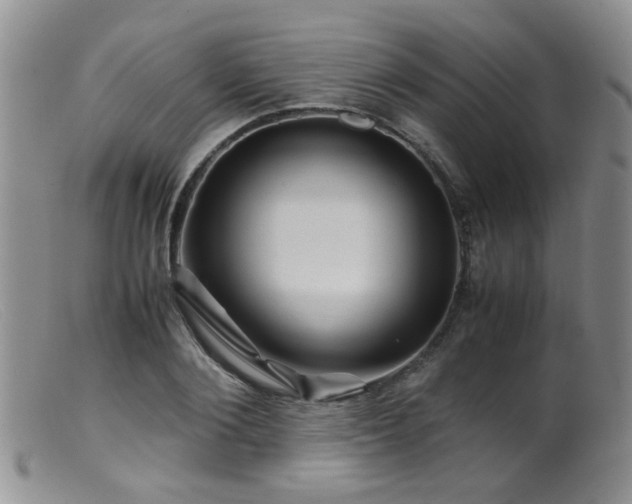 X0000099470884200805161108