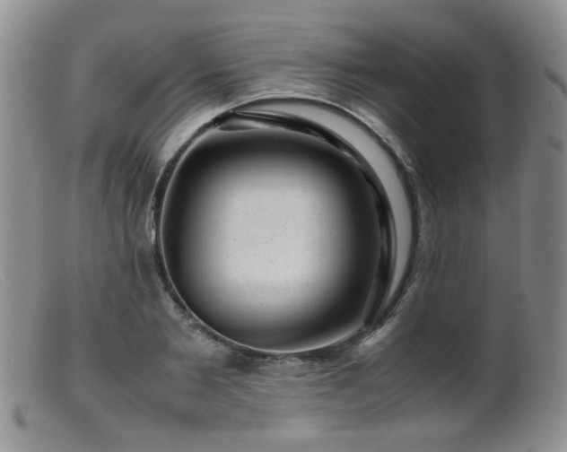 X0000099470885200805161108