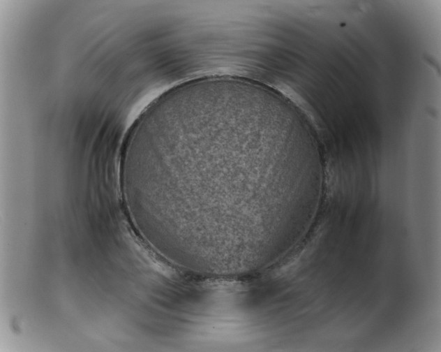 X0000099470886200805161108