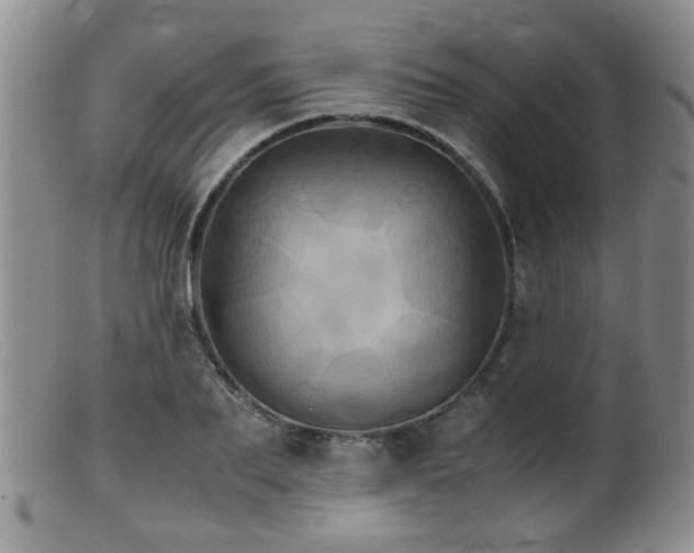 X0000099470887200805161108