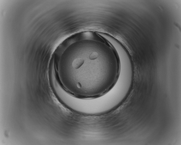 X0000099470888200805161108