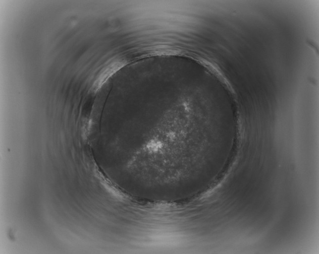 X0000099470889200805161108