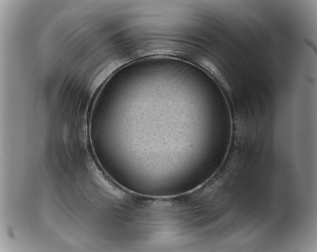 X0000099470890200805161108