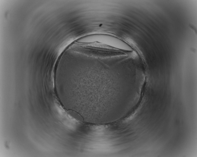 X0000099470892200805161108