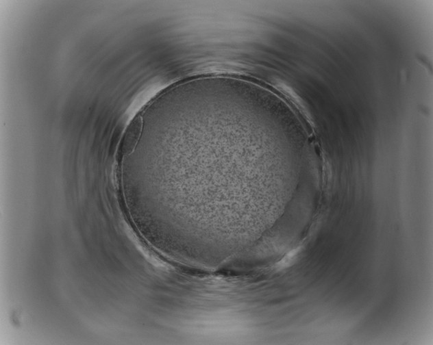 X0000099470893200805161108