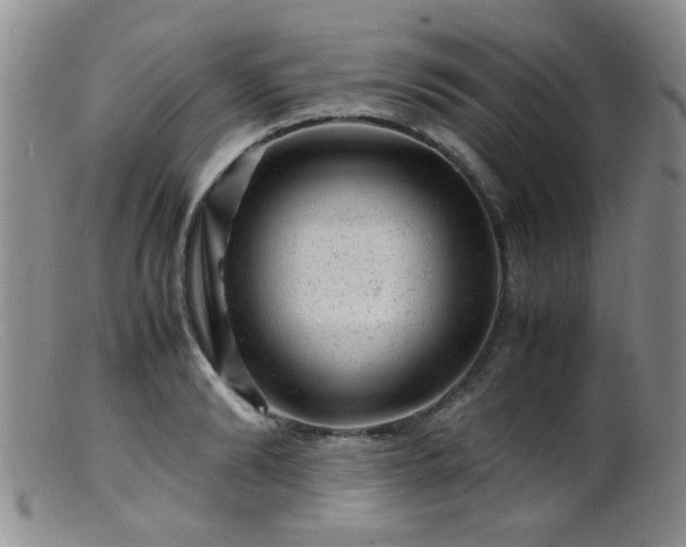 X0000099470894200805161108