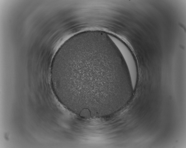 X0000099470895200805161108