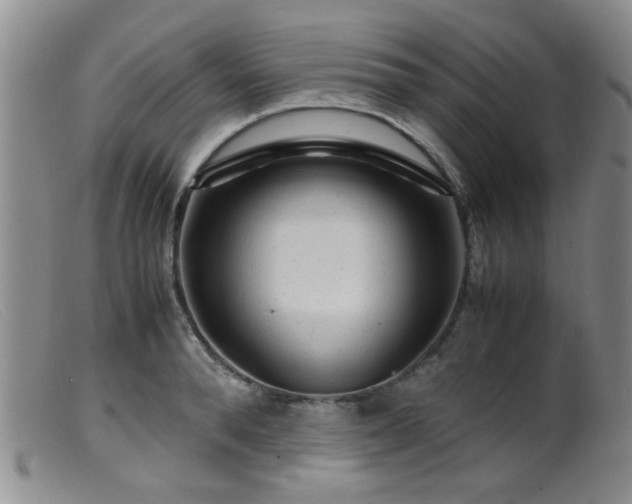 X0000099470896200805161108