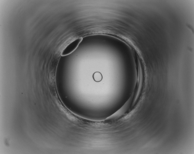 X0000099470897200805161108
