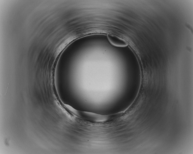 X0000099470898200805161108