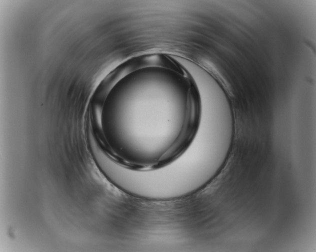 X0000099470900200805161108