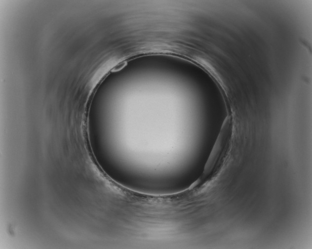 X0000099470901200805161108