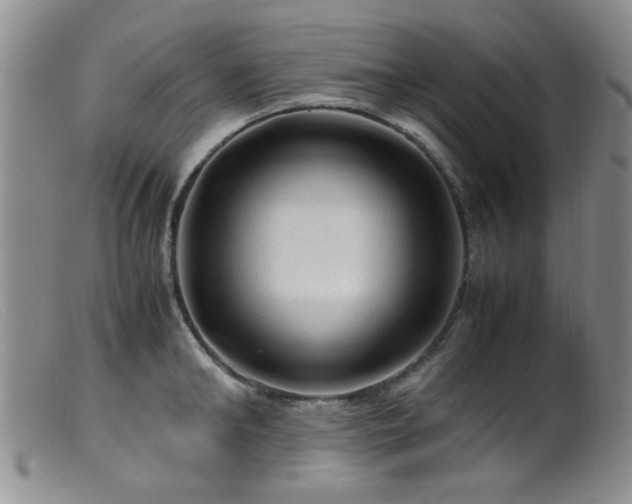 X0000099470902200805161108