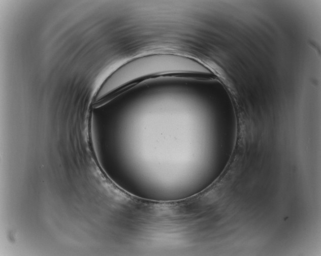X0000099470904200805161108