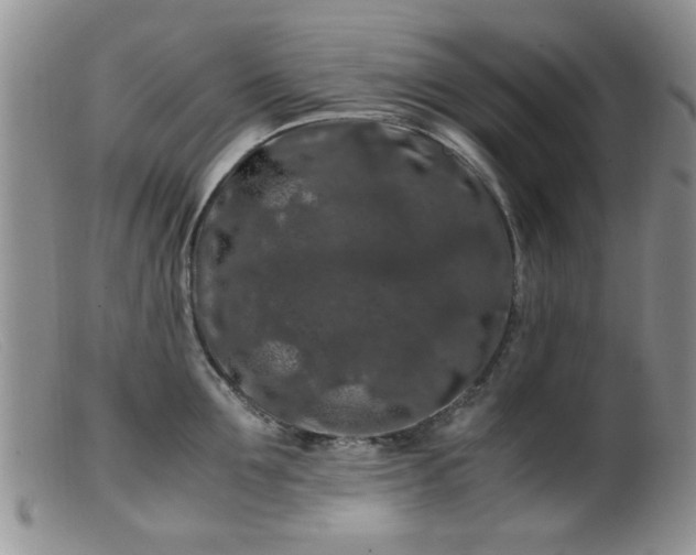 X0000099470907200805161108