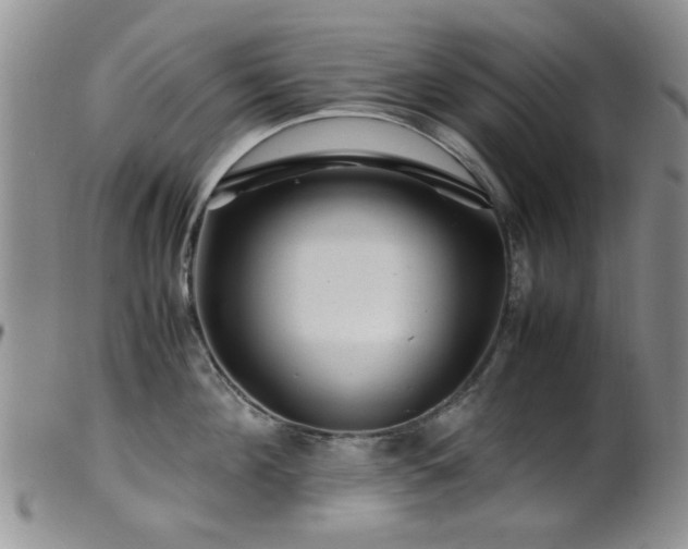 X0000099470908200805161108
