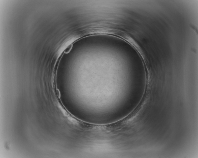 X0000099470909200805161108