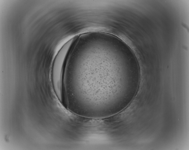 X0000099470912200805161108