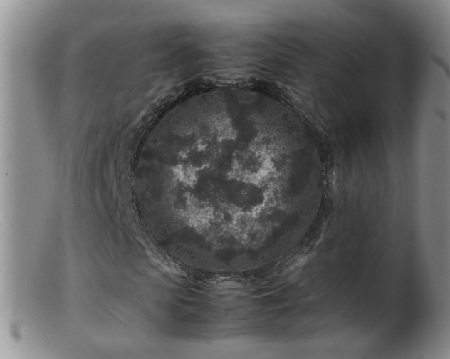 X0000099470913200805161107