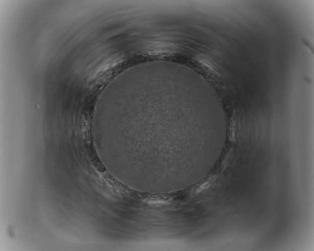 X0000099470917200805161107