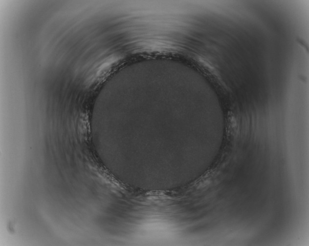 X0000099470918200805161107