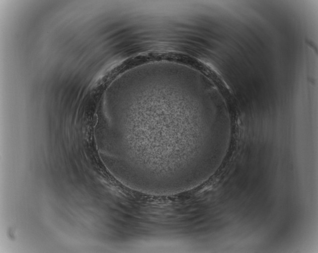 X0000099470919200805161107