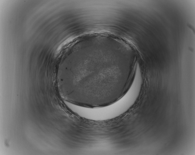 X0000099470920200805161107