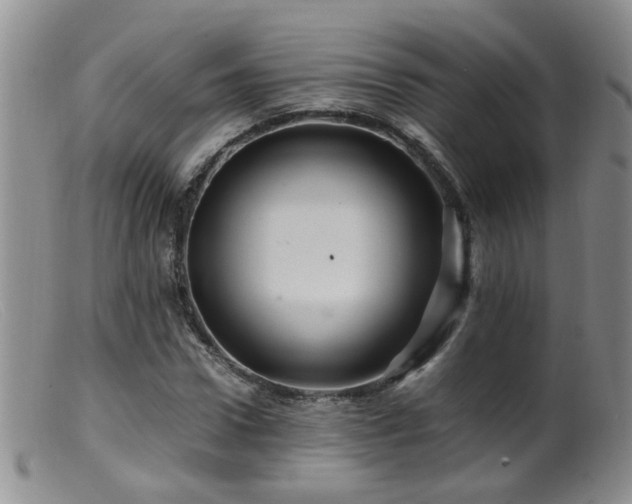 X0000099470922200805161107