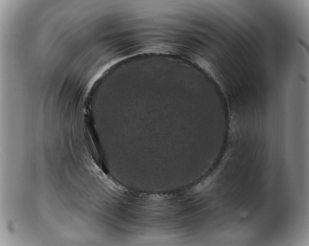X0000099470923200805161107