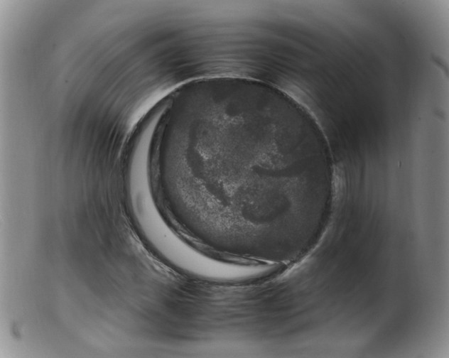 X0000099470925200805161107
