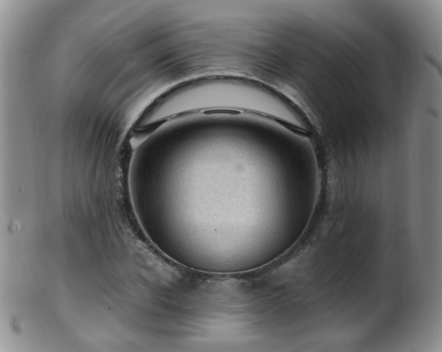 X0000099470926200805161107