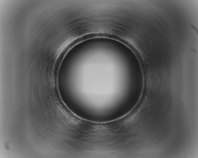 X0000099470927200805161107