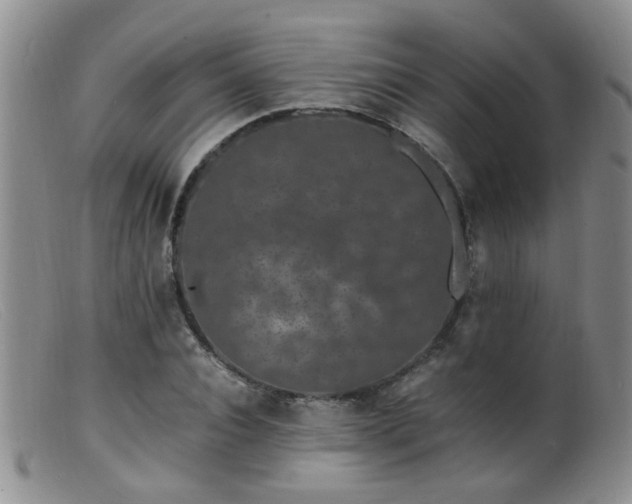 X0000099470928200805161107