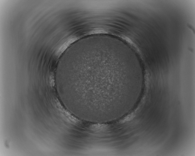 X0000099470929200805161107