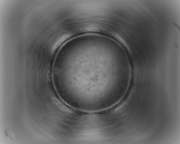 X0000099470930200805161107