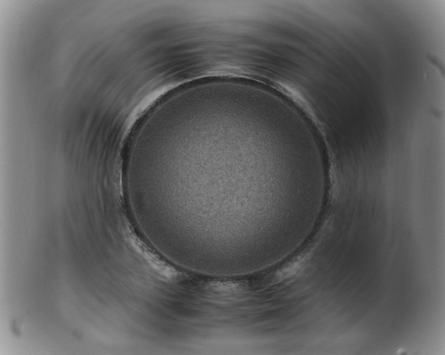 X0000099470931200805161107