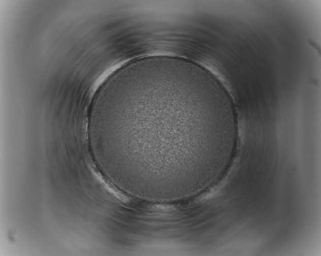X0000099470933200805161107
