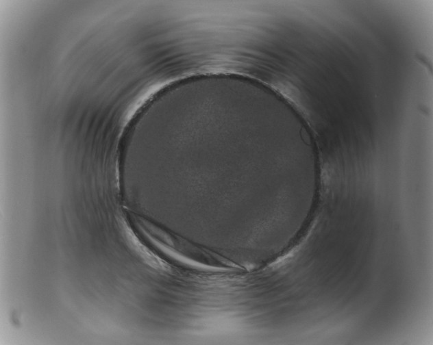 X0000099470934200805161107