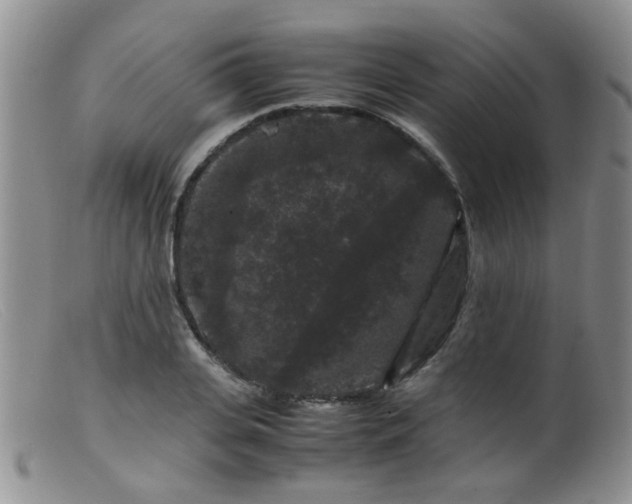 X0000099470935200805161107