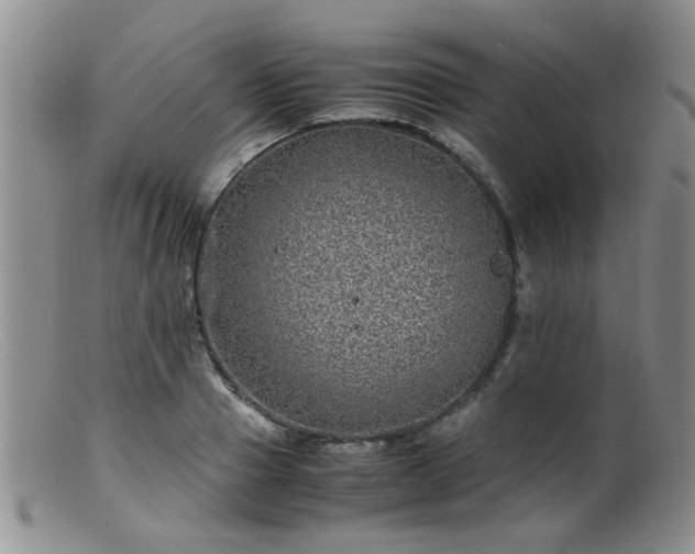 X0000099470937200805161107