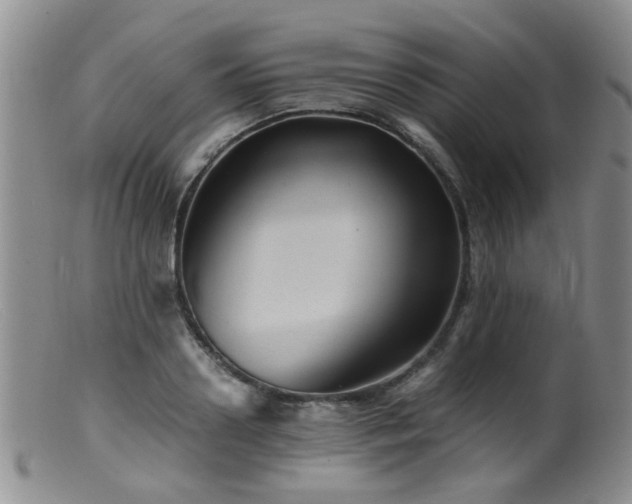 X0000099470938200805161107