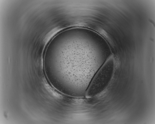 X0000099470940200805161107