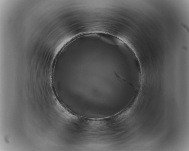 X0000099470941200805161107