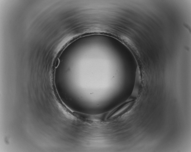 X0000099470942200805161107