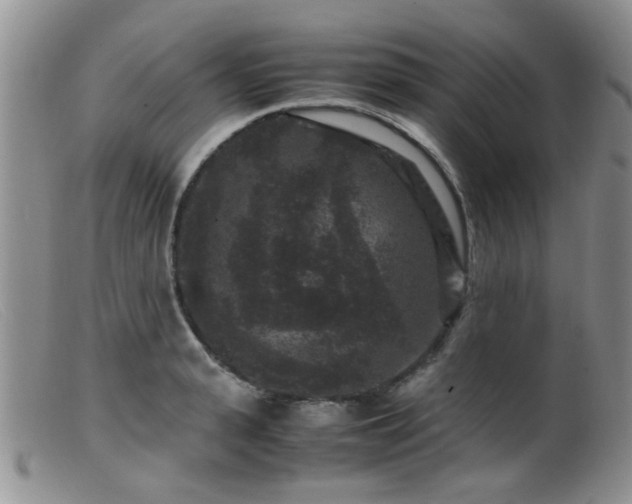 X0000099470943200805161107
